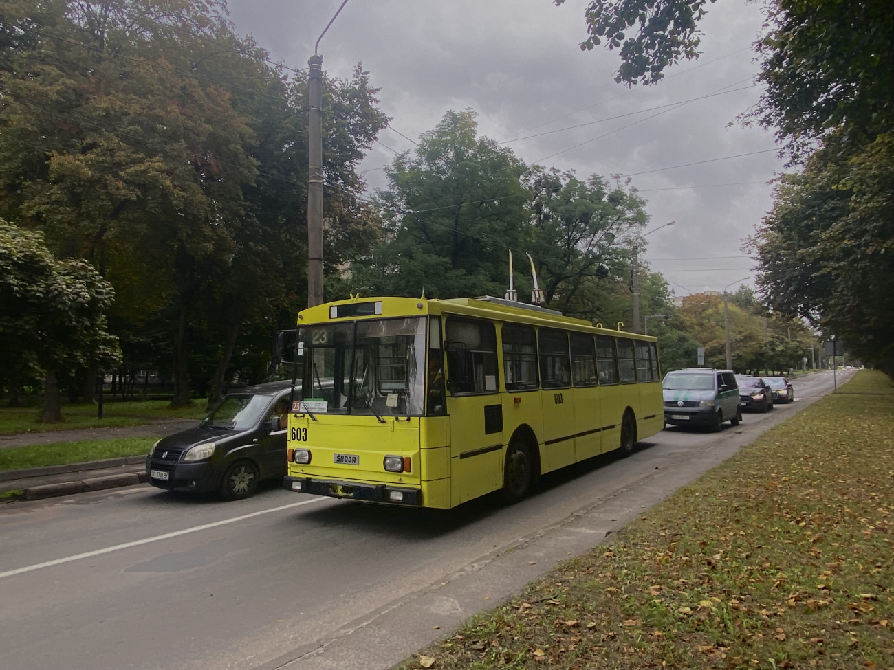 Львов, Škoda 14Tr11/6 № 603