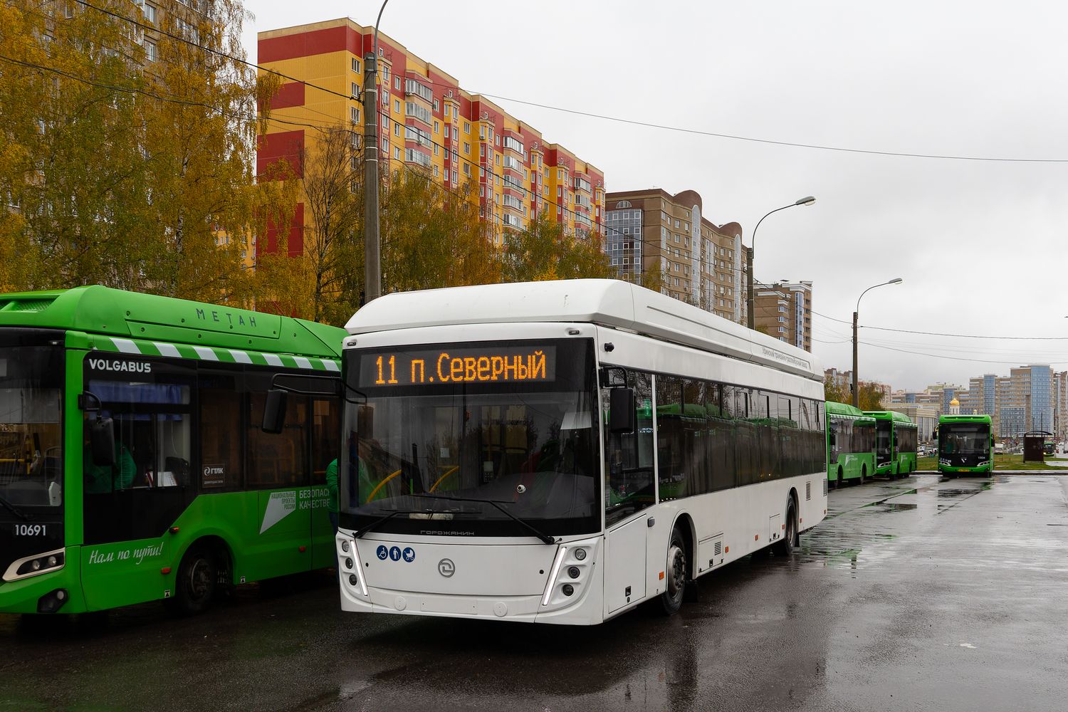 Kursk, UTTZ-6241.01 “Gorozhanin” Nr. б/н Kursk, UTTZ-6241.01 “Gorozhanin” Nr. б/н