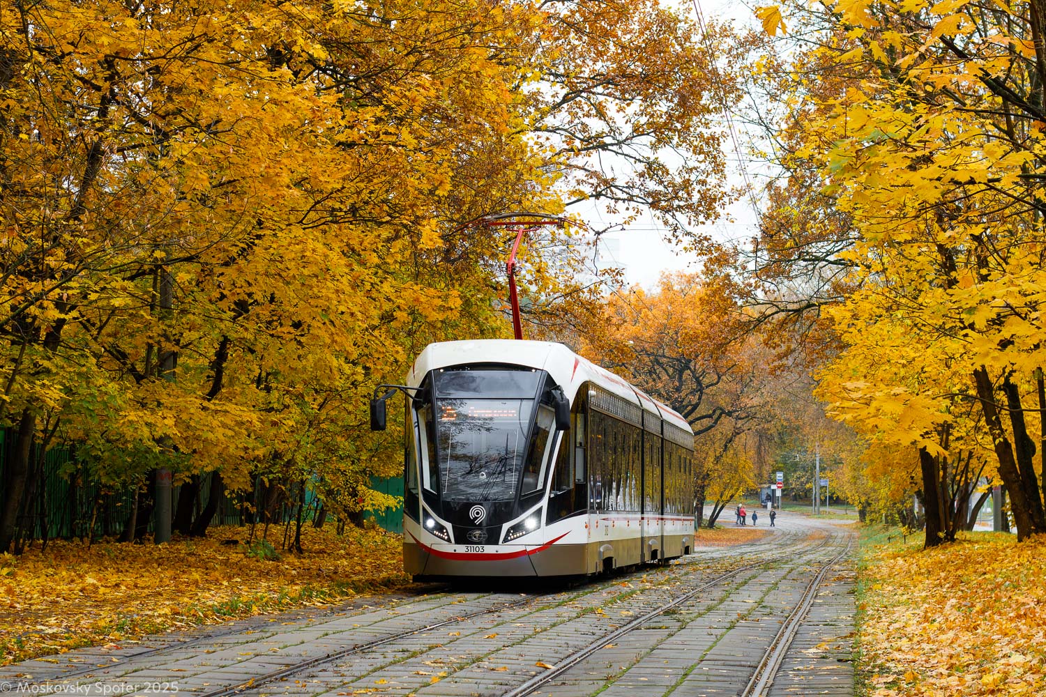 Москва, 71-931М «Витязь-М» № 31103