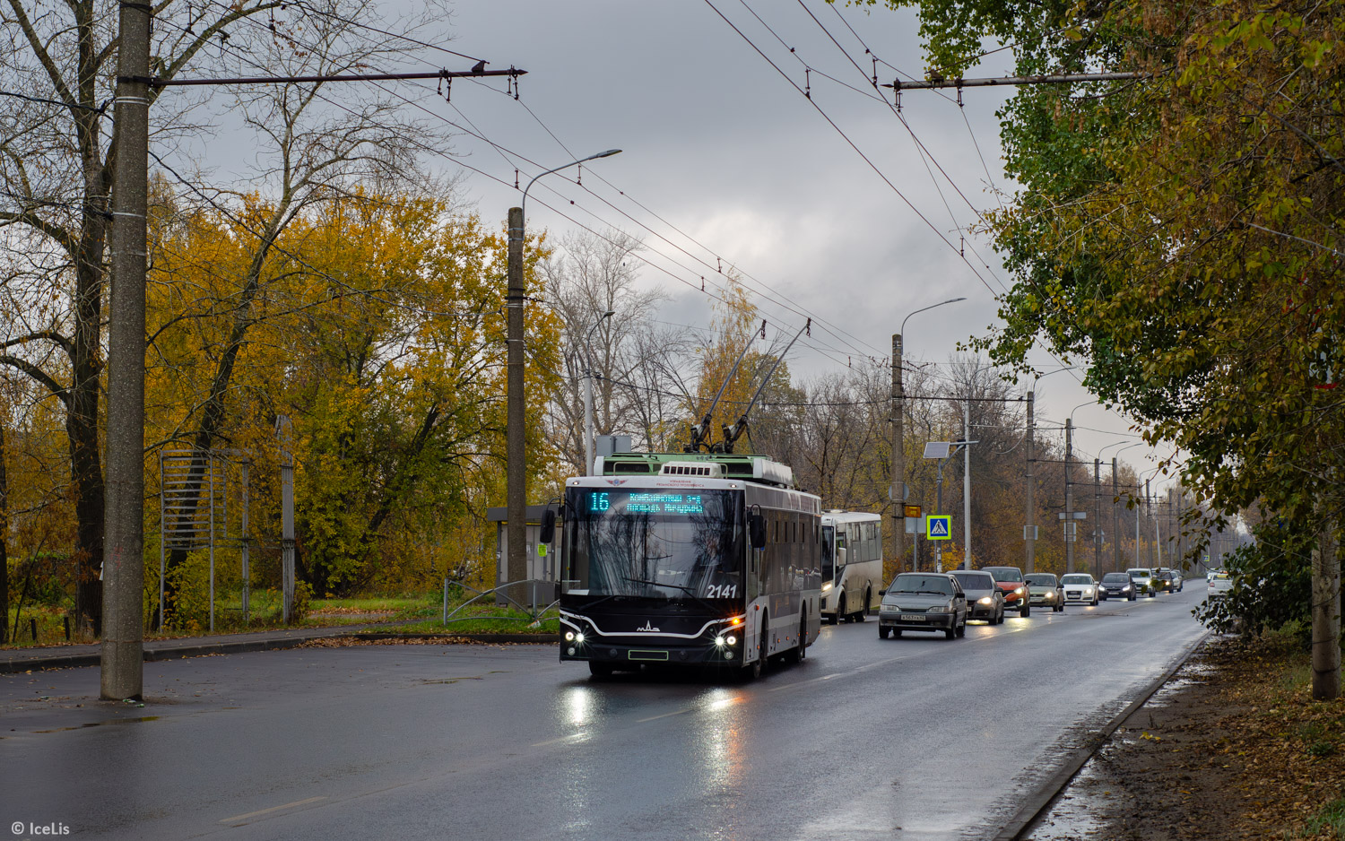 Рязань, МАЗ-203Т70 № 2141