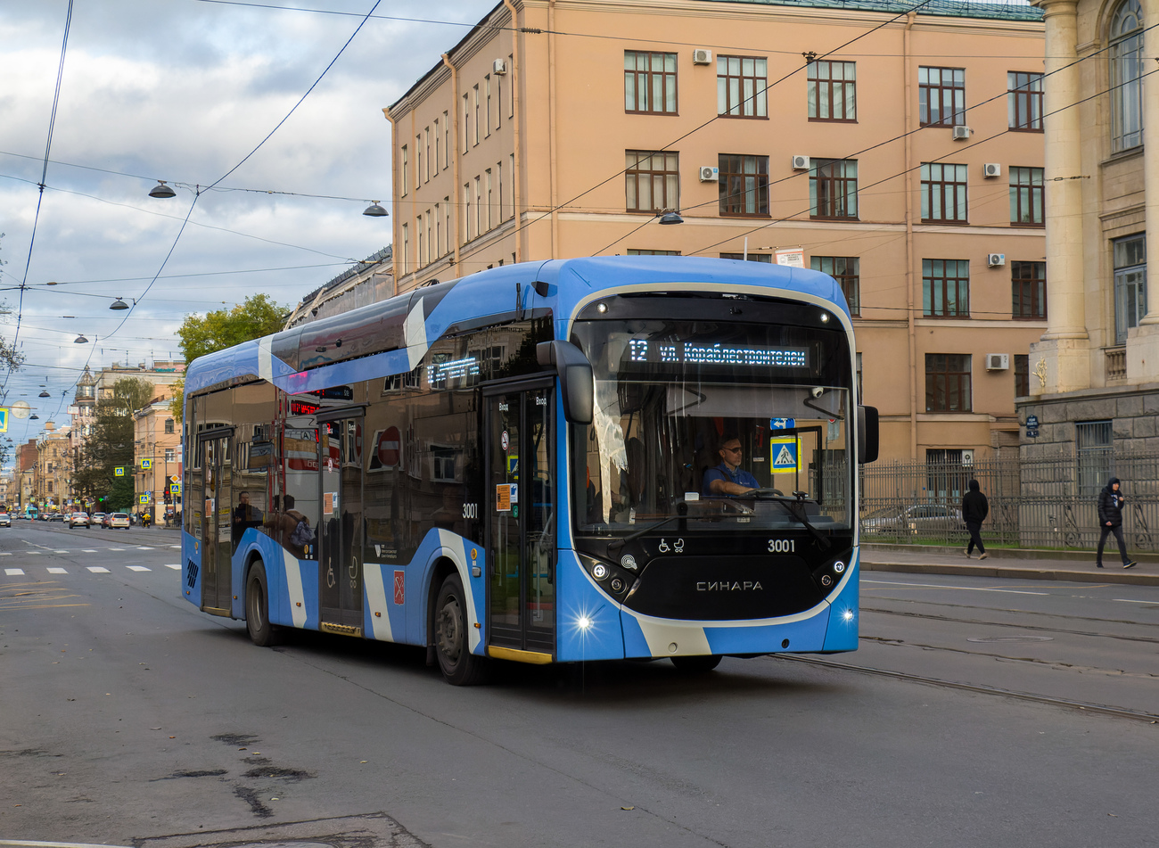 Санкт-Петербург, Синара 6254.00 № 3001