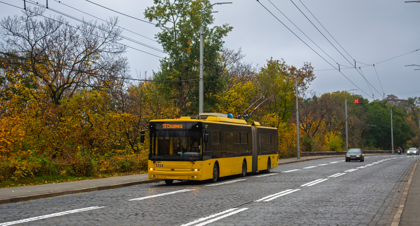 Киев, Богдан Т90110 № 2313