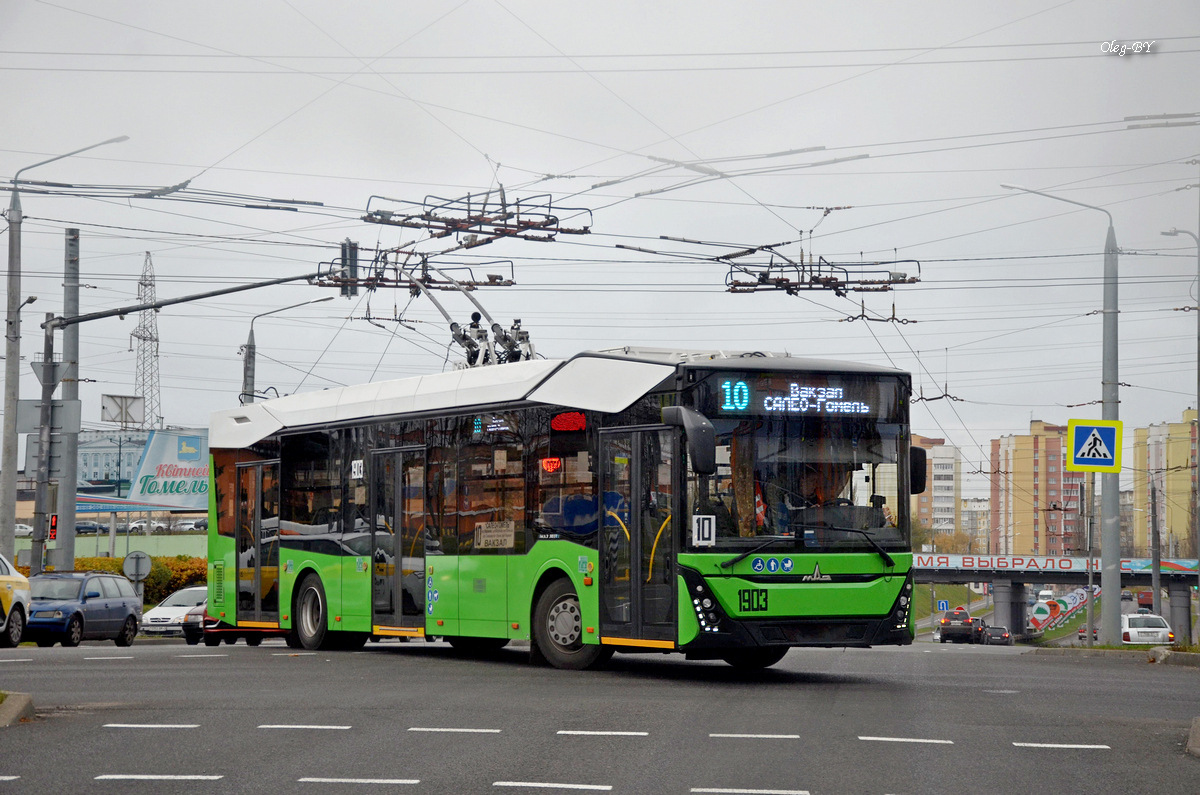Homiel, MAZ-303T22 № 1903