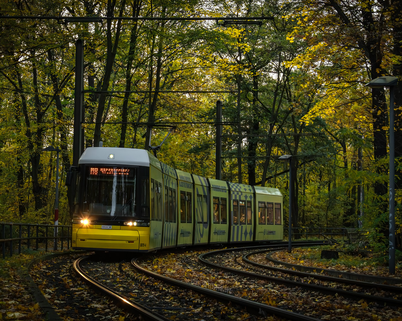 Берлин, Bombardier Flexity Berlin (GT8-08ER/F8E) № 8019