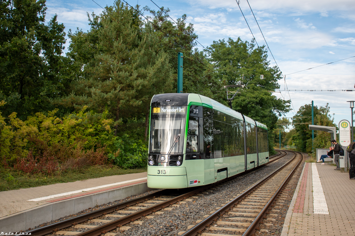 Франкфурт-на-Одері, Škoda 46T ForCity Plus № 313