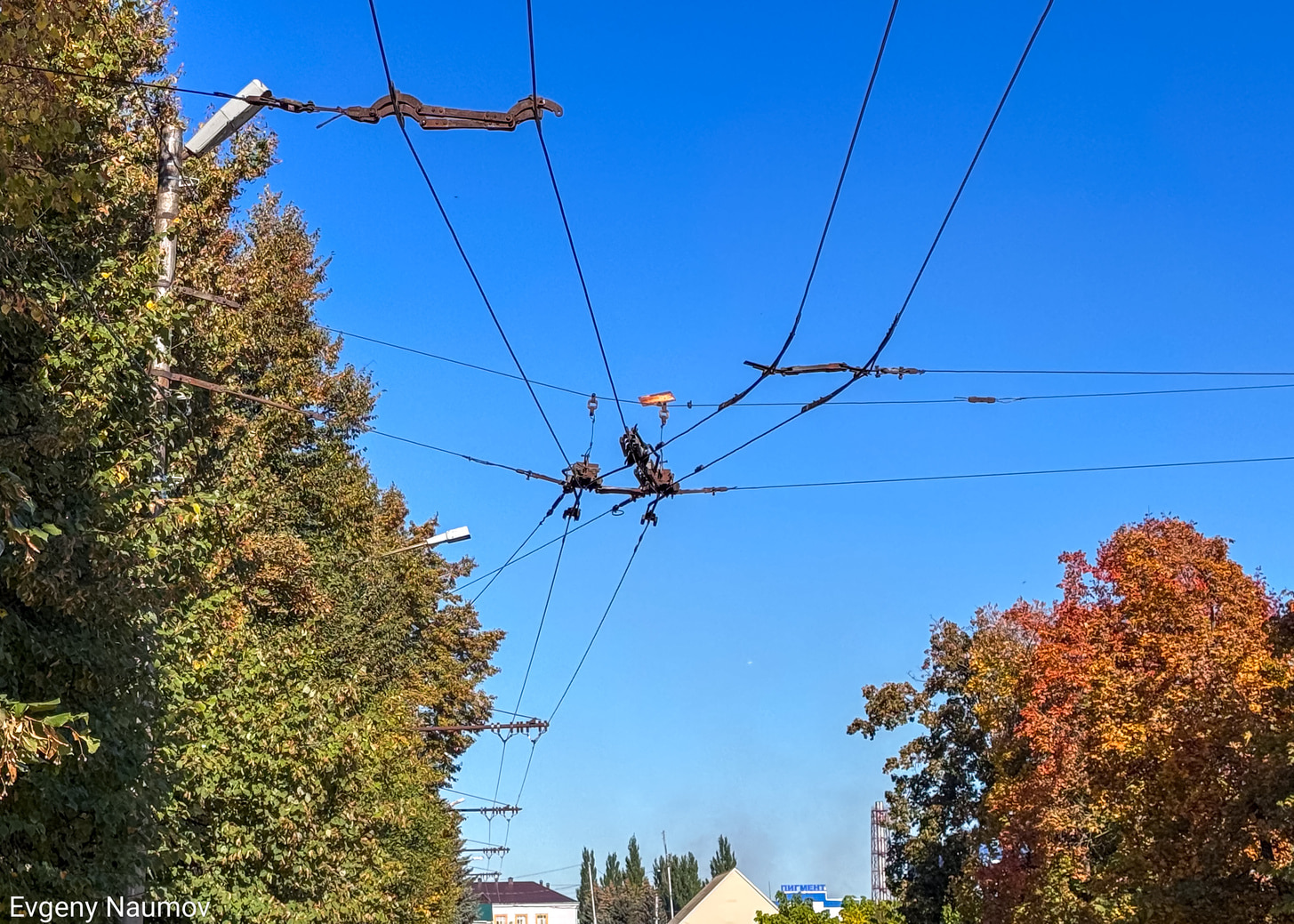 Tambov — Trolleybus lines