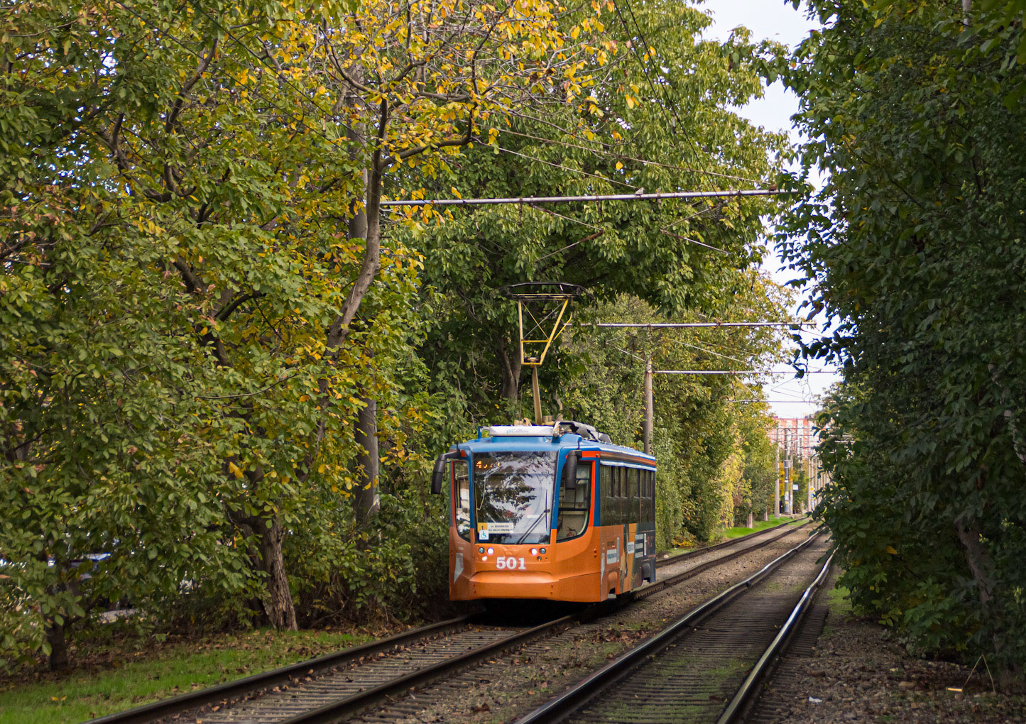 Краснодар, 71-623-02 № 501