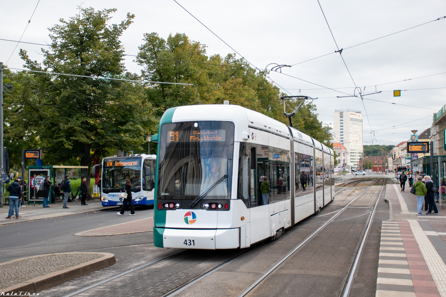 Потсдам, Stadler Variobahn № 431