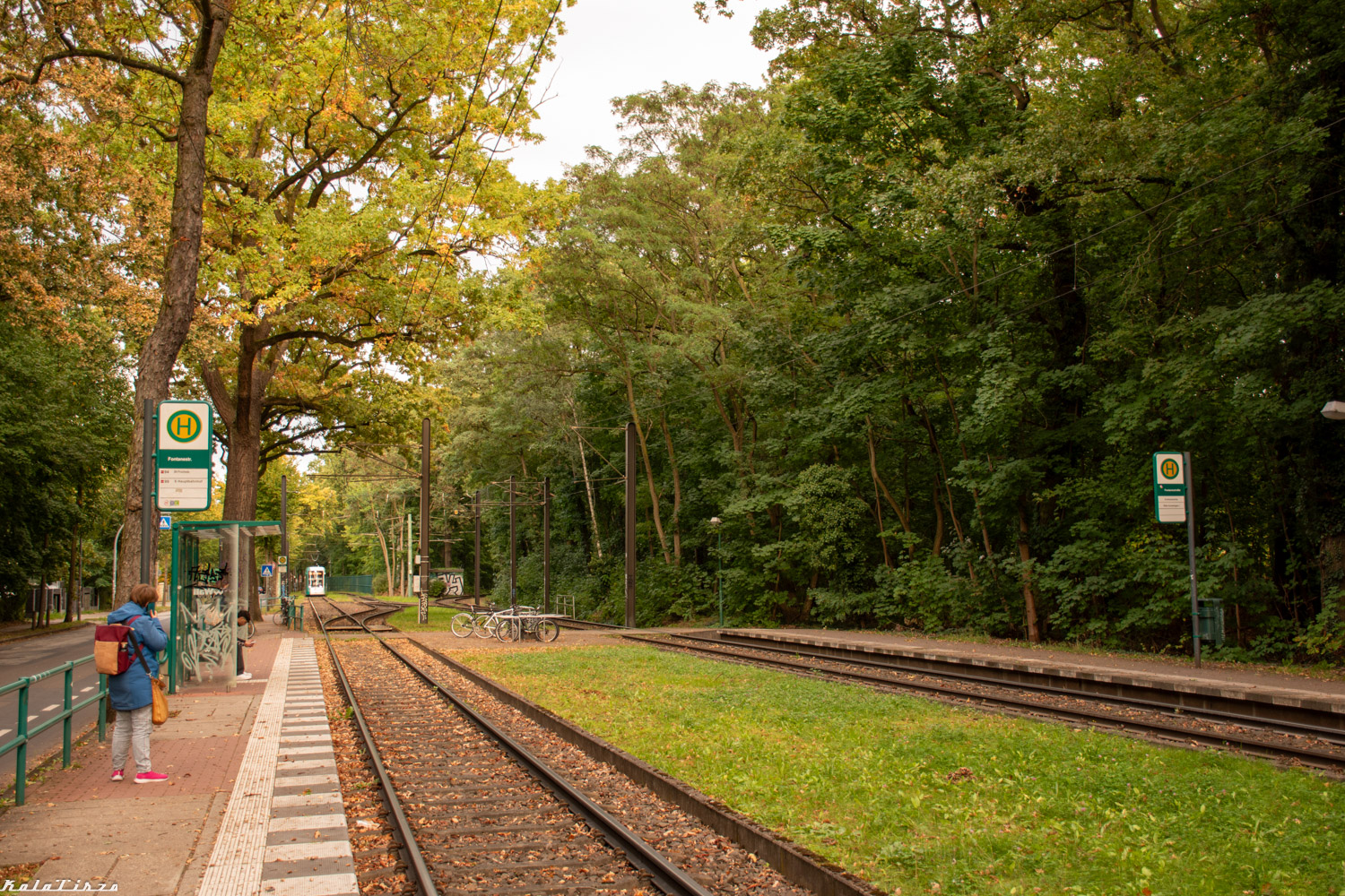 Потсдам — Трамвайные линии и инфраструктура