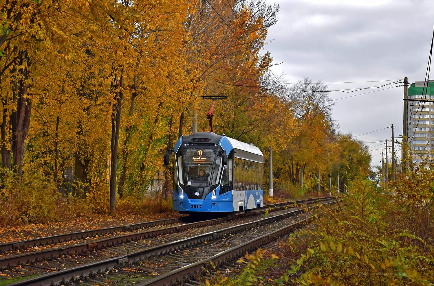 Волгоград, 71-911ЕМ «Львёнок» № 2017