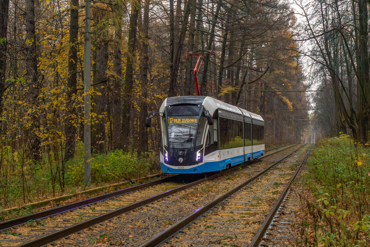 Москва, 71-931М «Витязь-М» № 31301