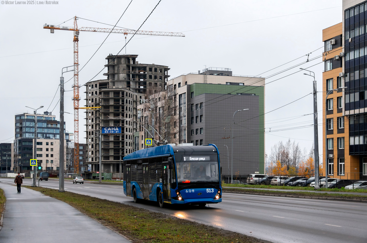 Петрозаводск, ВМЗ-5298.01 «Авангард» № 513