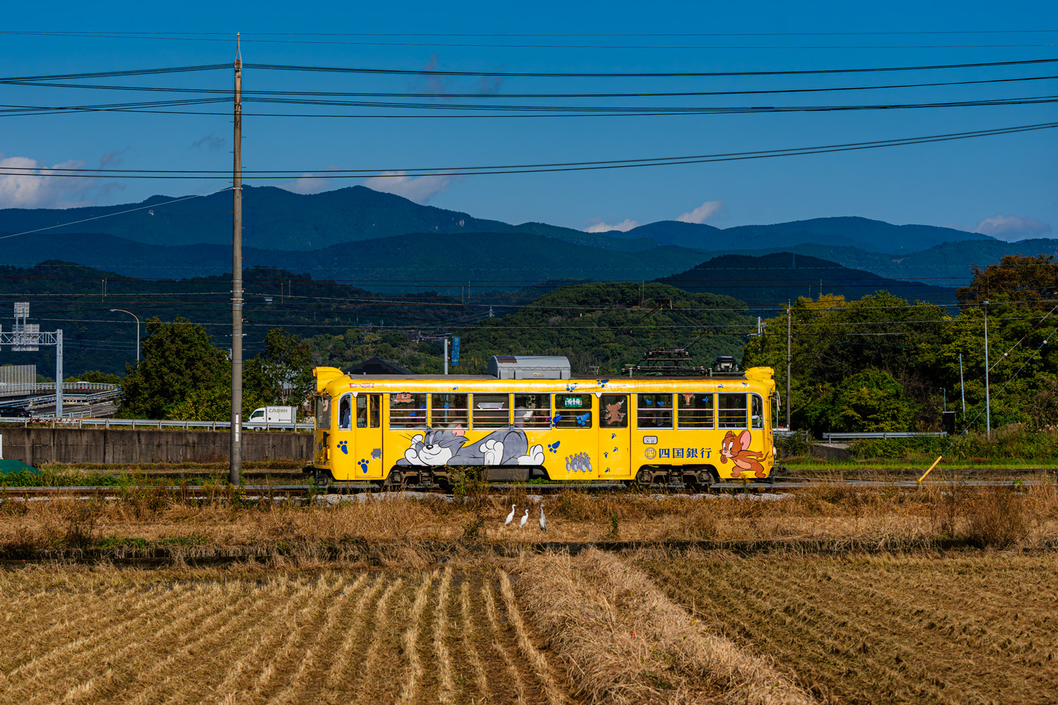 Коти, Tosaden № 618; Транспорт и животные
