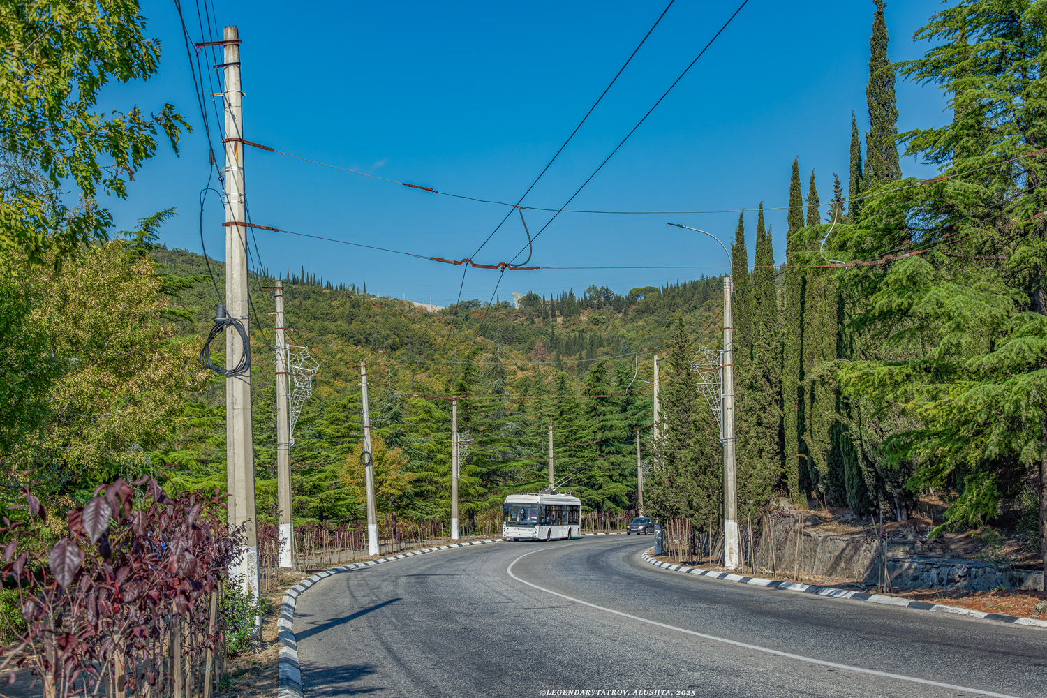 Қырым троллейбусы — Trolleybus lines