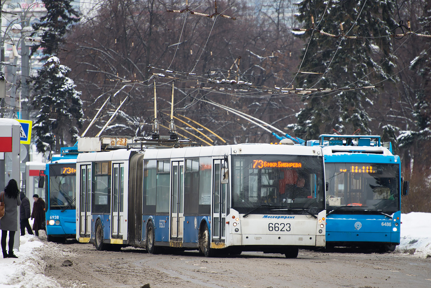 Moskva, Trolza-6206.00 “Megapolis” Br. 6623