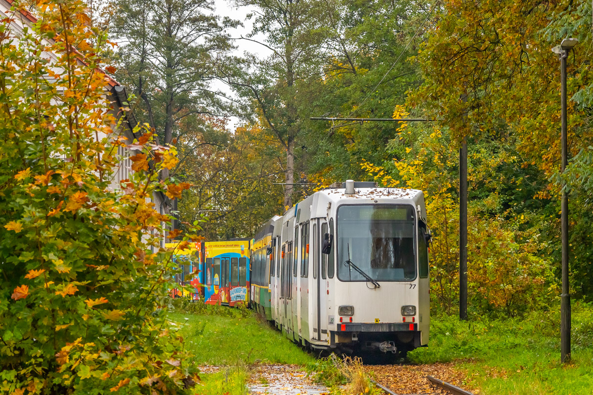 Шёнайхе – Рюдерсдорф, Duewag M6C-NF № 77