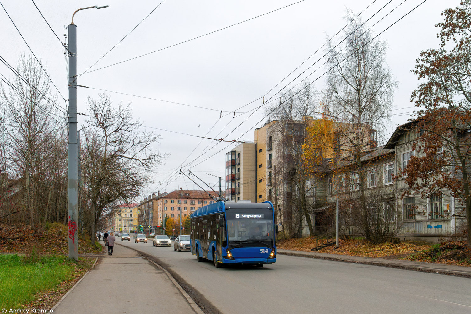 Петрозаводск, ВМЗ-5298.01 «Авангард» № 514
