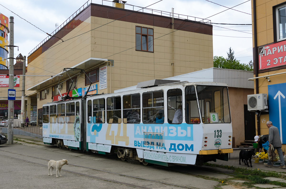 Пятигорск, Tatra KT4SU № 133; Транспорт и животные