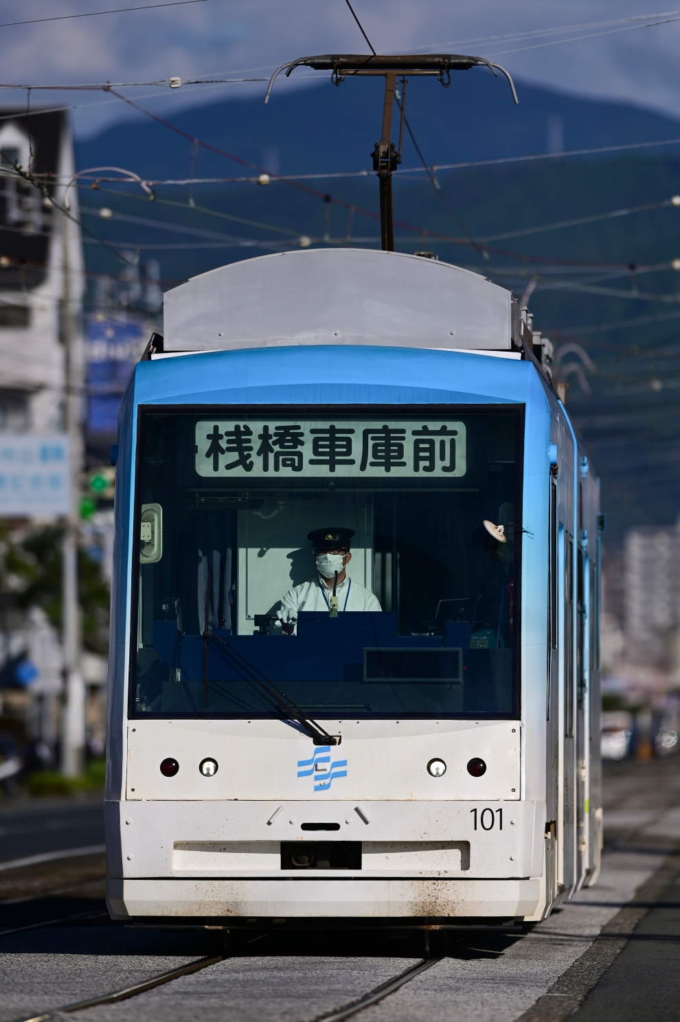 Коти, Little Dancer L № 101