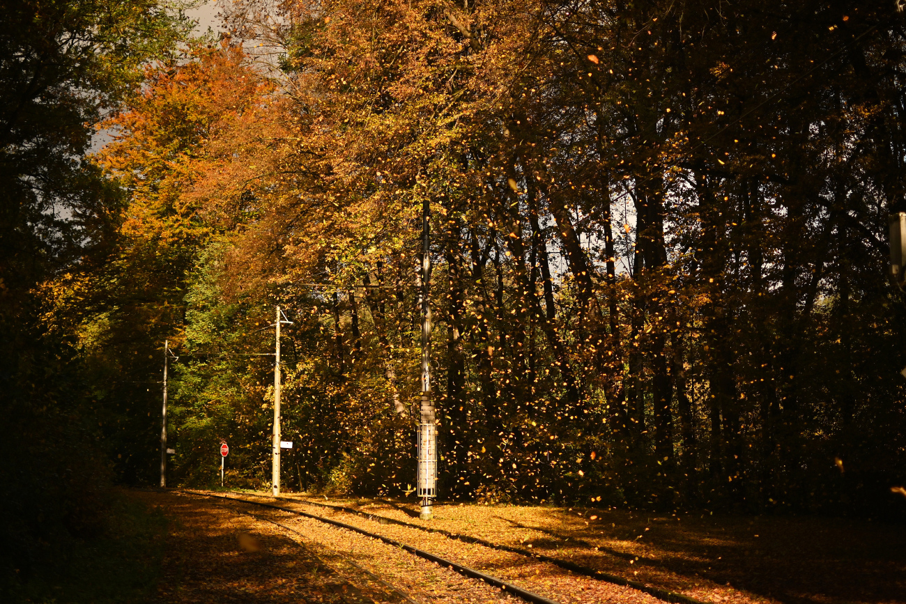 Ostrava — Line 5 -Vřesinská — Zátiší; Ostrava — Tramway Lines and Infrastructure