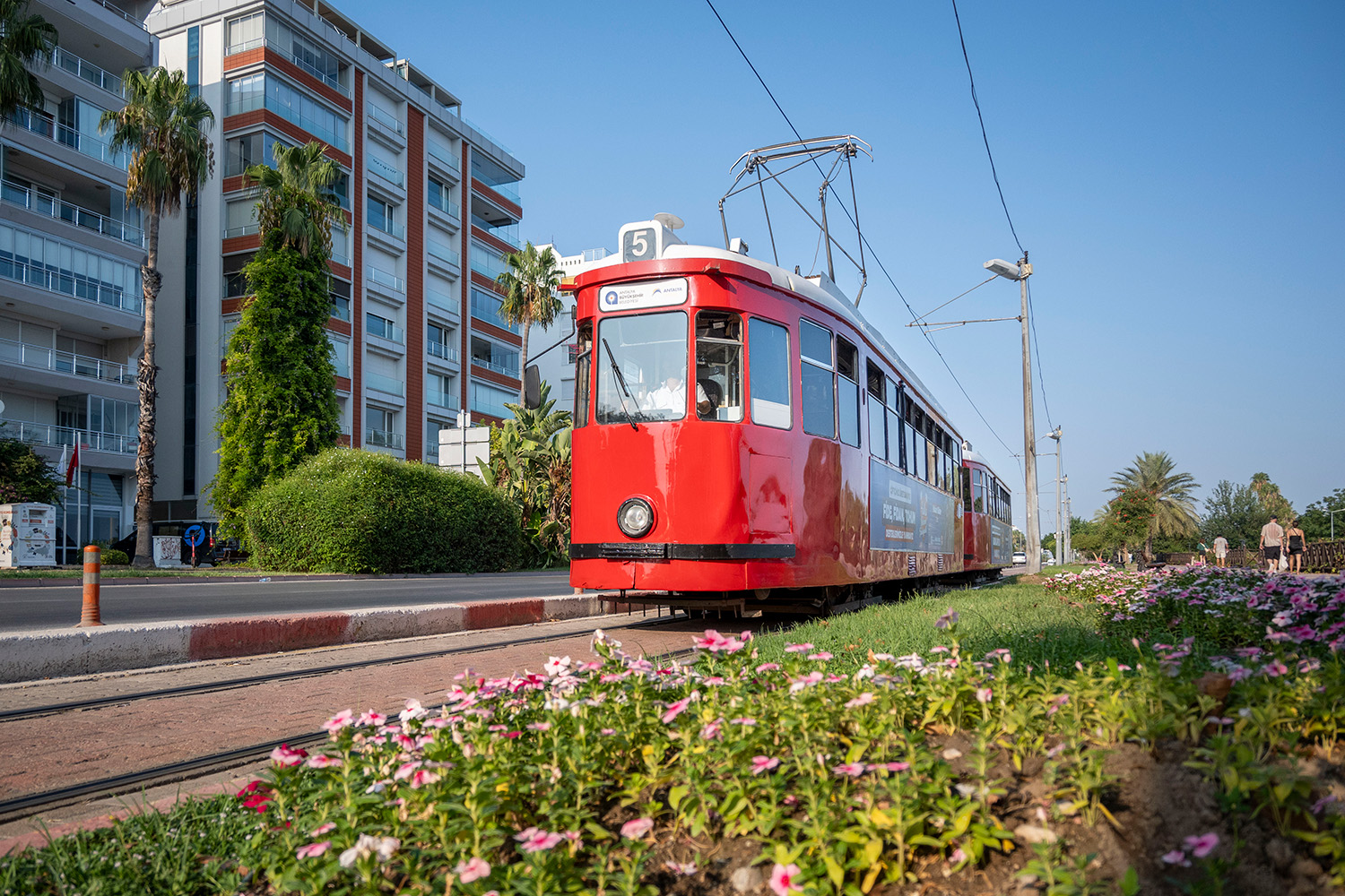 Анталія, MAN T4 № 5