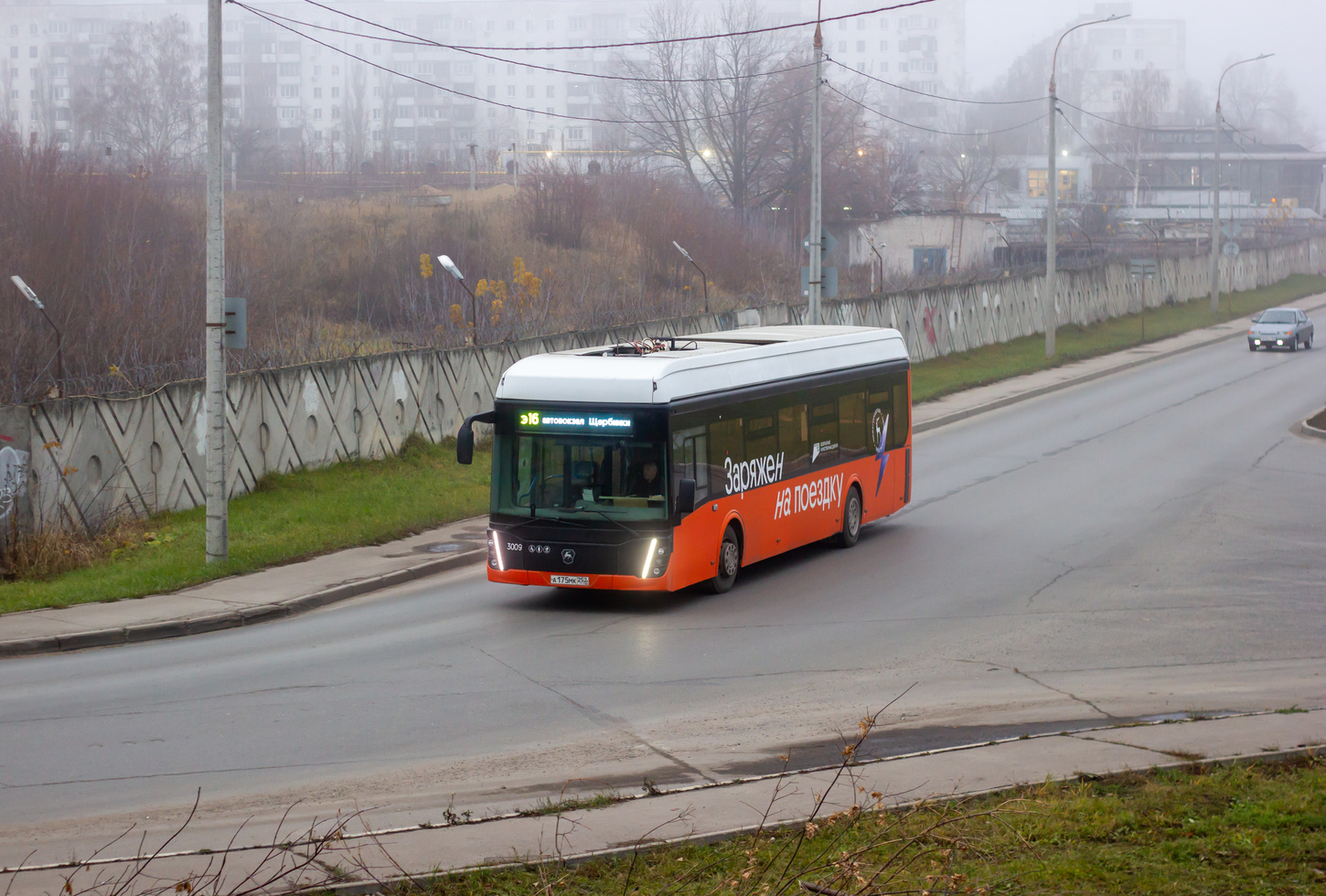 Нижний Новгород, ЛиАЗ-6274 № 3009