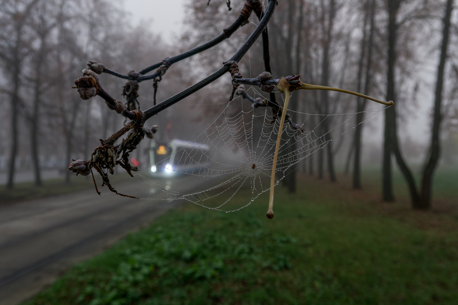 Фотозарисовки