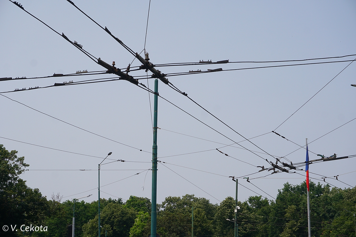 Тимишоара — Линии и инфраструктура