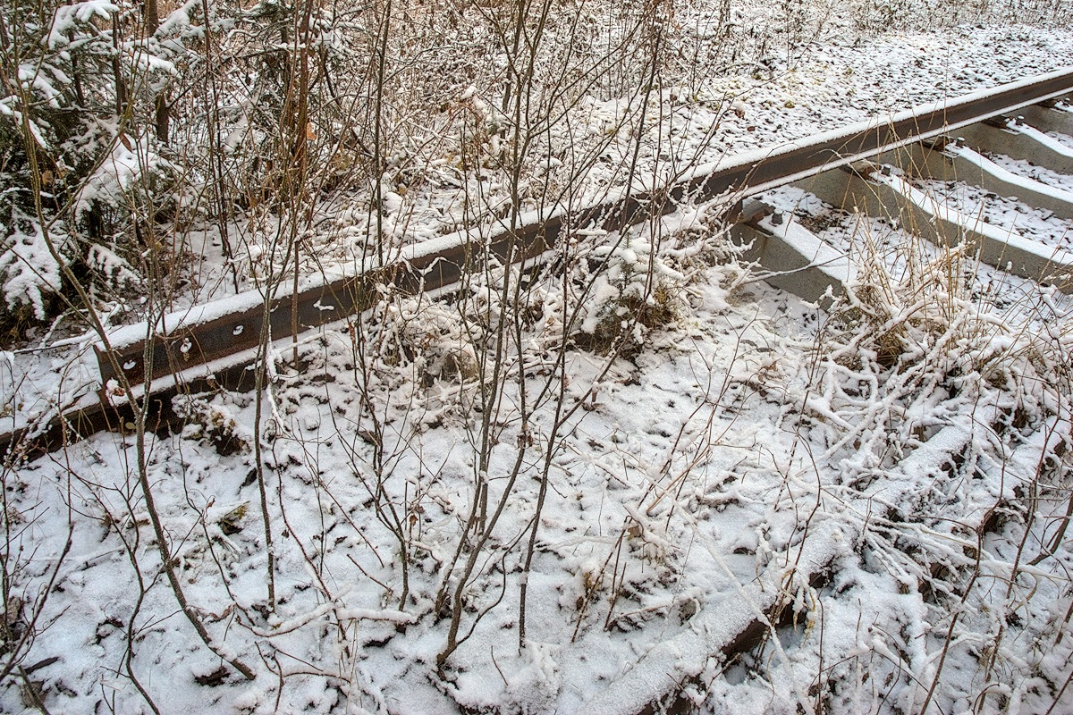 Волчанск — Трамвайные линии и инфраструктура