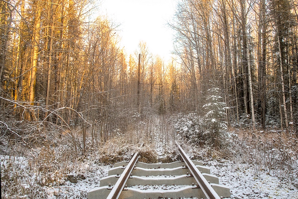 Волчанск — Трамвайные линии и инфраструктура