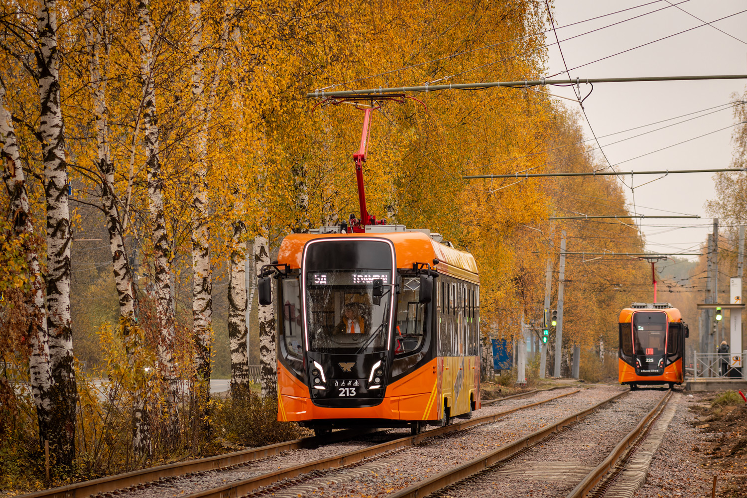 Ярославль, 71-628-02 № 213