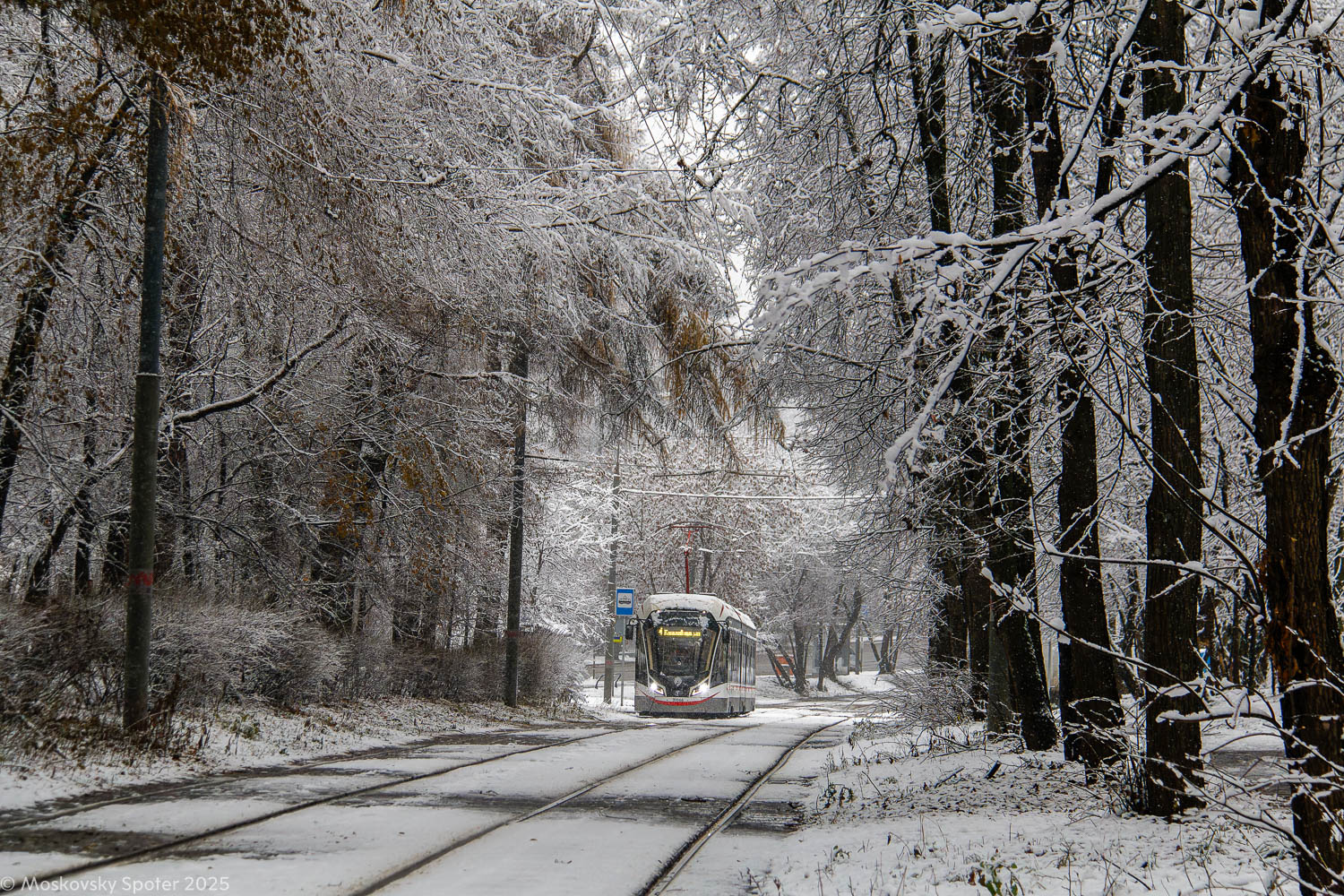 Москва, 71-931М «Витязь-М» № 31066; Москва — Трамвайные линии: ВАО