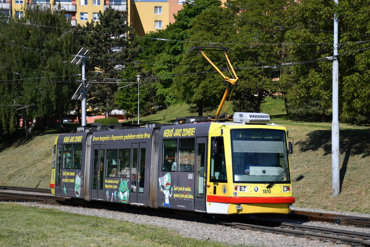 Брно, Škoda 03T6 Anitra № 1810
