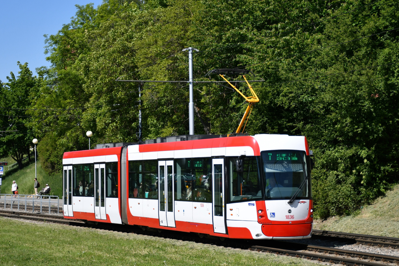 Брно, EVO 2 № 1836