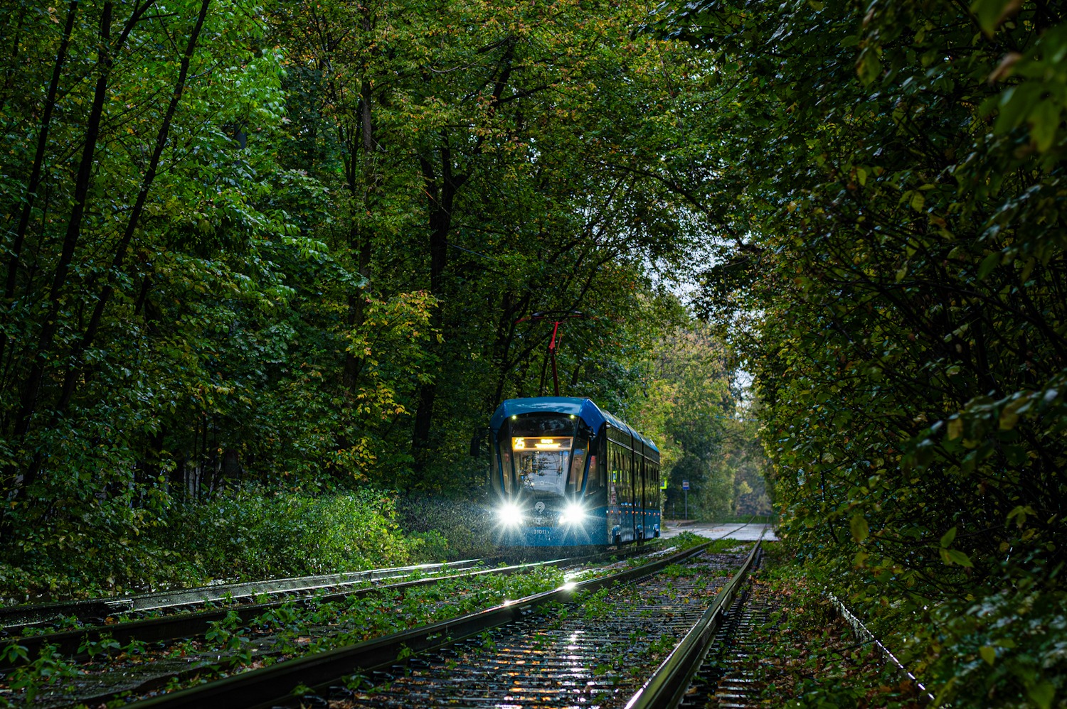 Москва, 71-931М «Витязь-М» № 31011