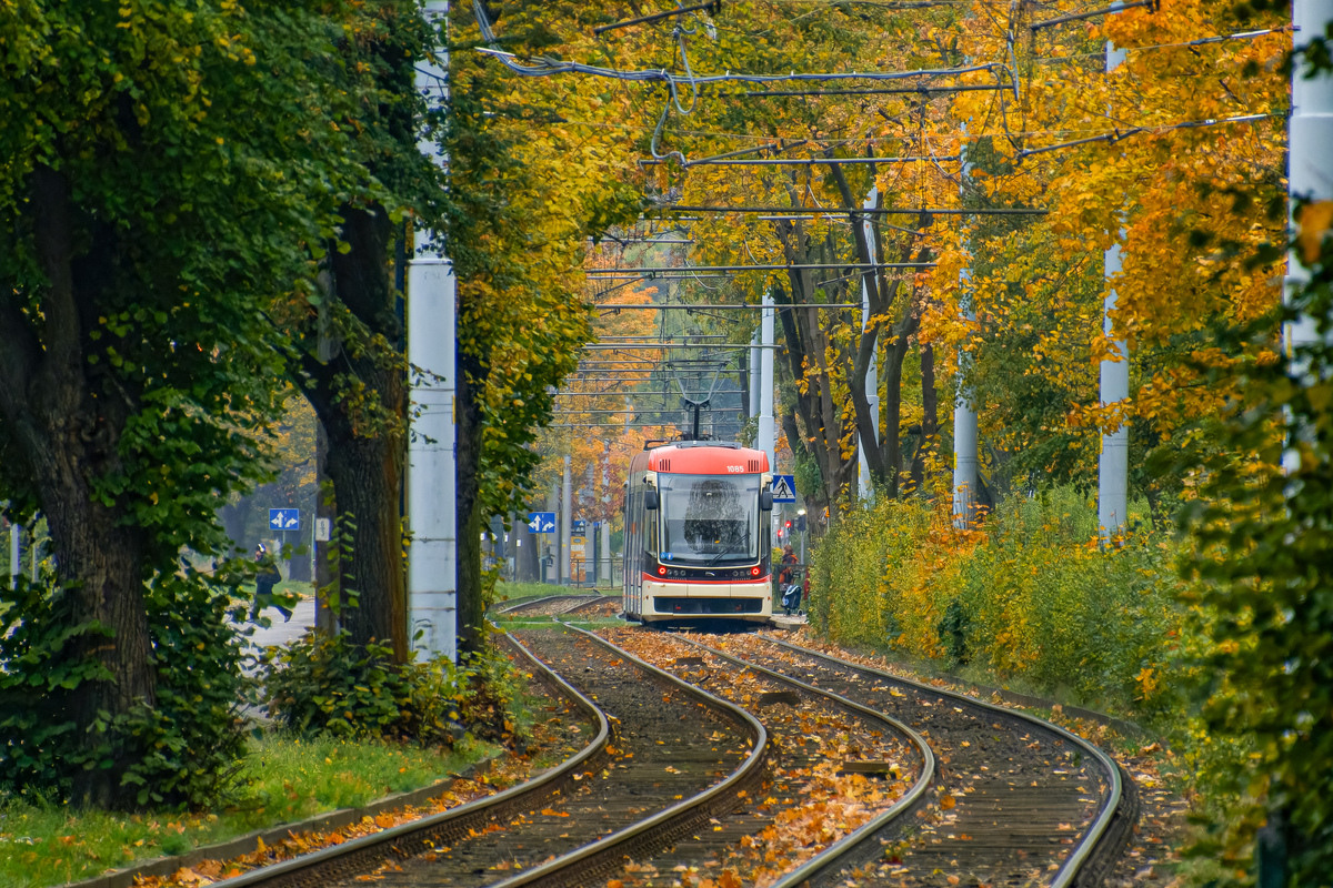 Gdańsk — Tramway Lines and Infrastructure