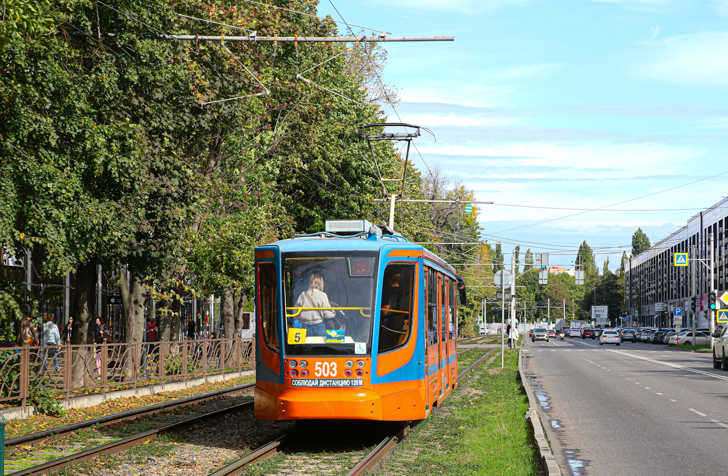 Краснодар, 71-623-02 № 503