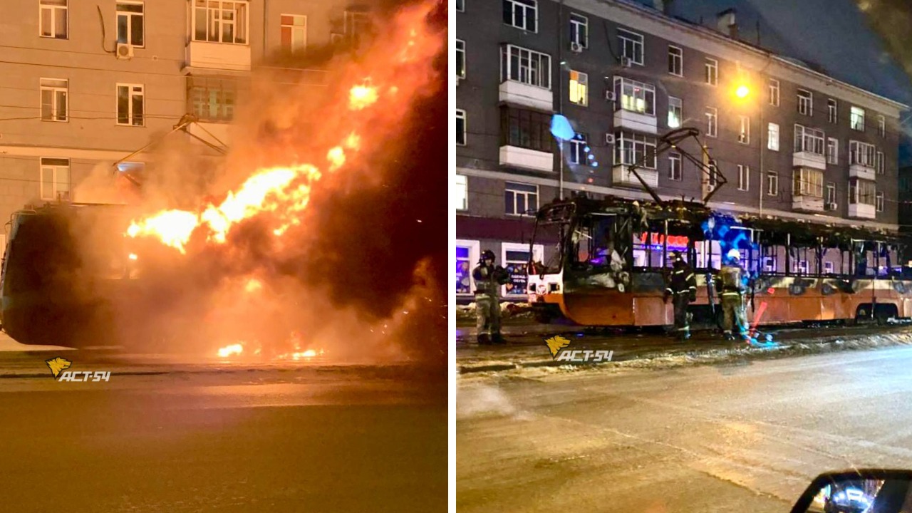 Новосибирск, 71-619А № 3150