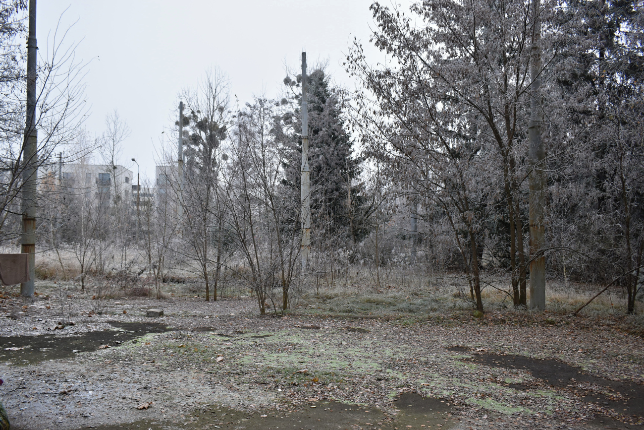 Познань — Трамвайные линии и инфраструктура