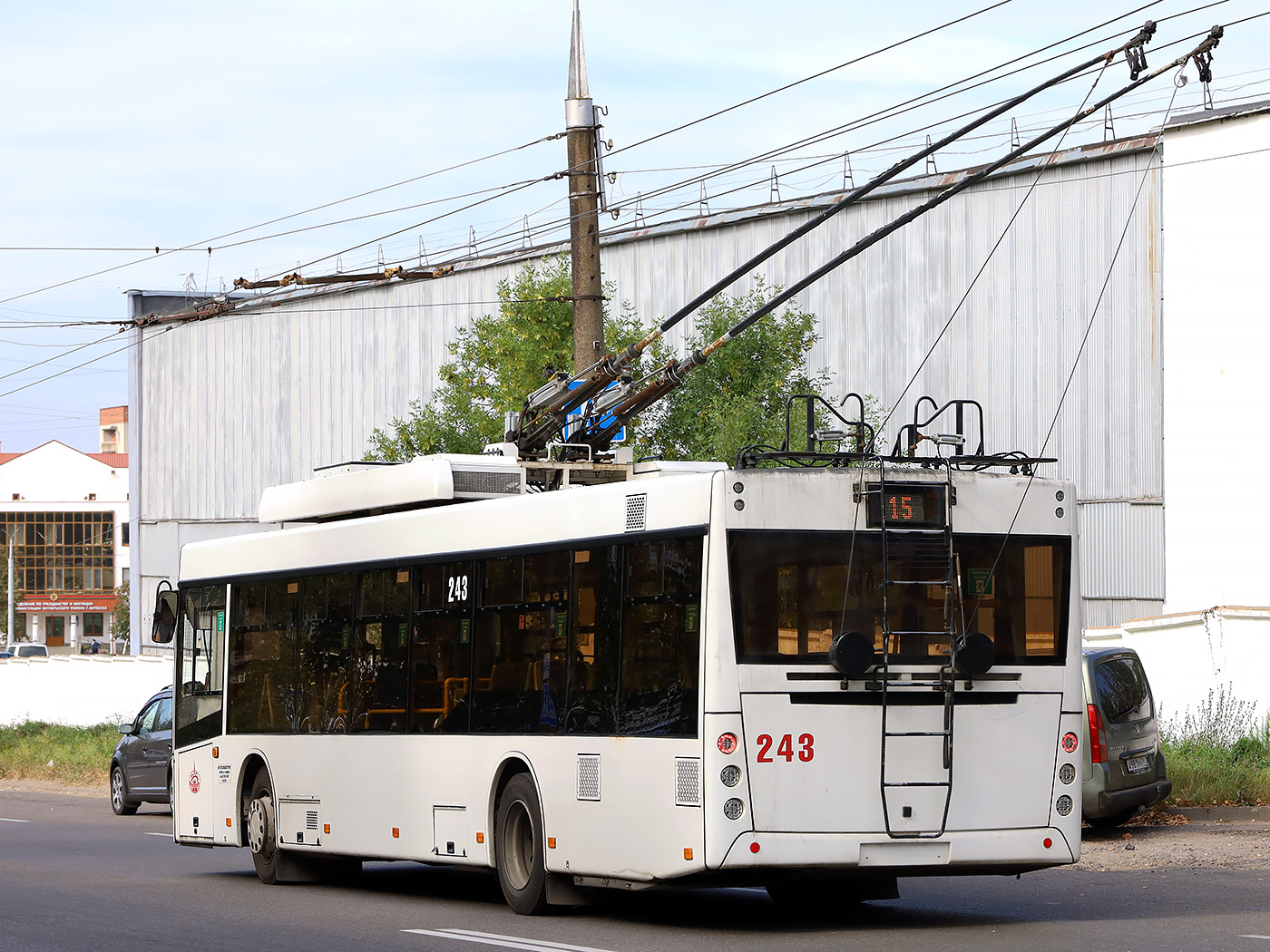 Витебск, МАЗ-203Т70 № 243