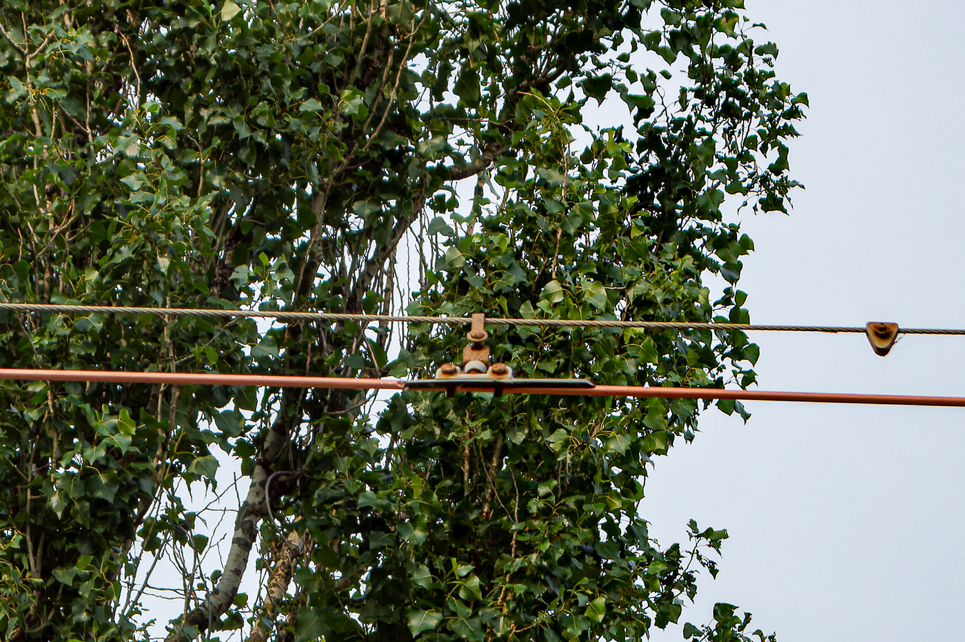 Lipetsk — Reconstructions; Lipetsk — Repair of the tram line under the concession agreement; Lipetsk — Tracks and infrastructure