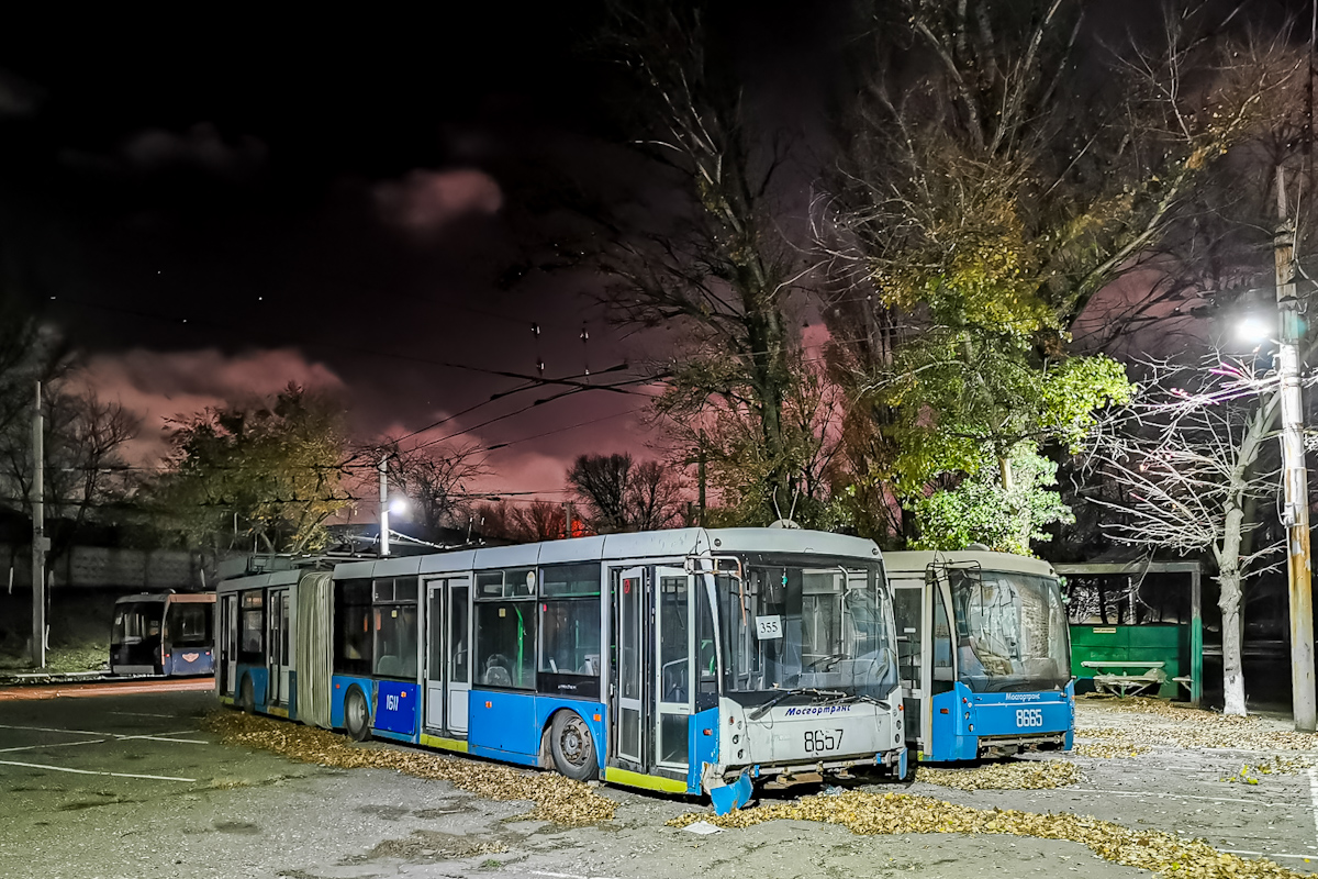 Ростов-на-Дону, Тролза-6206.01 «Мегаполис» № 355; Ростов-на-Дону, Тролза-6206.00 «Мегаполис» № 359