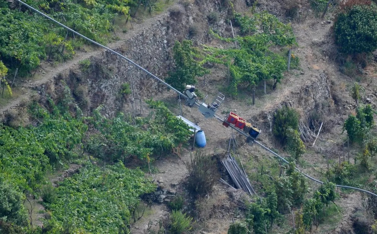 Cinque Terre National Park — Vineyard Rack Monorail Lines