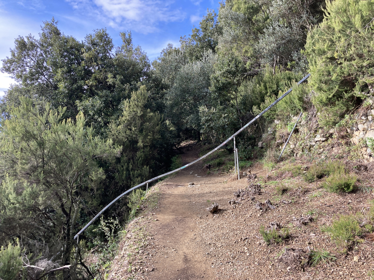 Национальный парк Чинкве-Терре — Зубчатые монорельсовые линии для транспортировки винограда