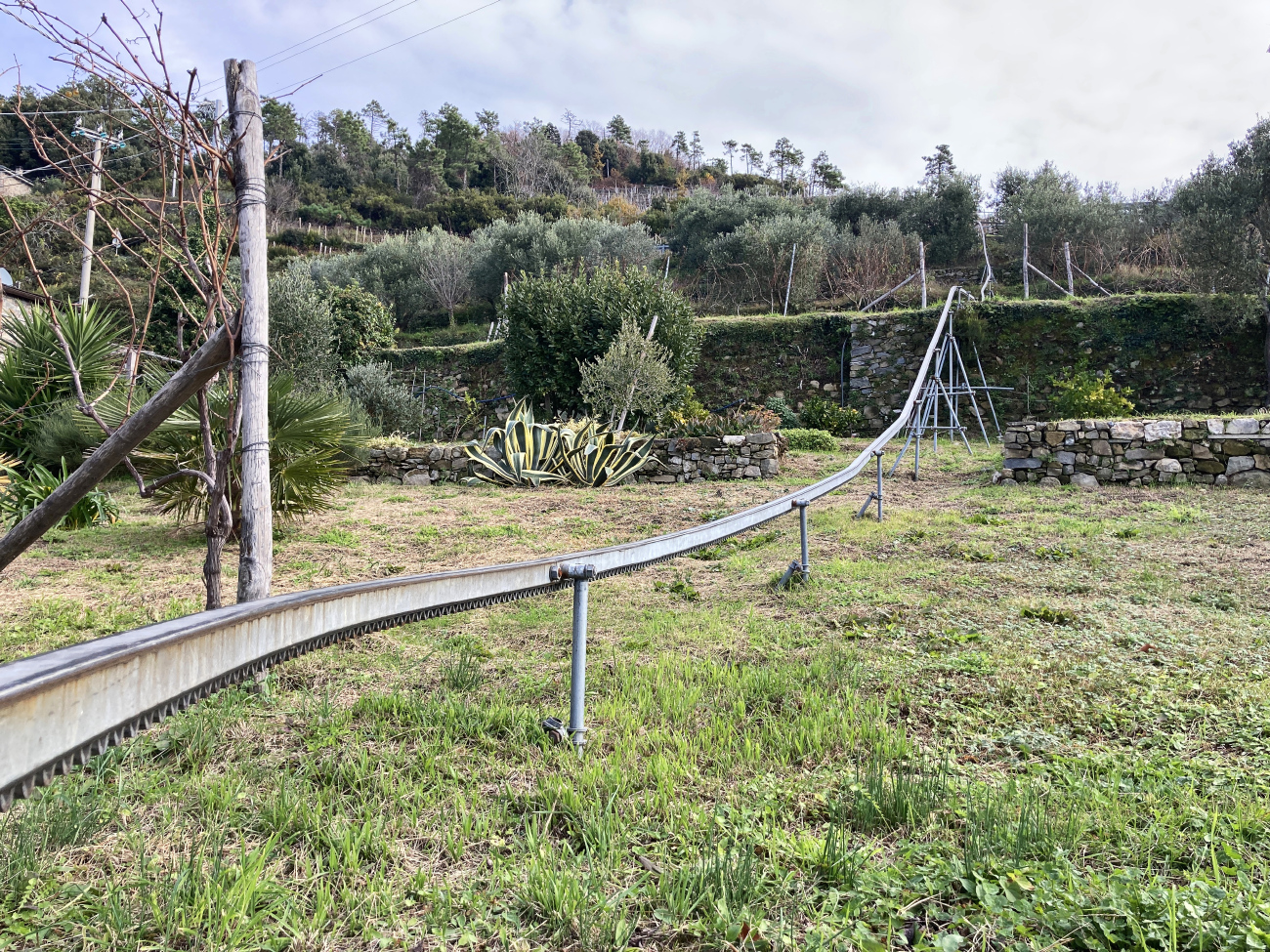 Национальный парк Чинкве-Терре — Зубчатые монорельсовые линии для транспортировки винограда