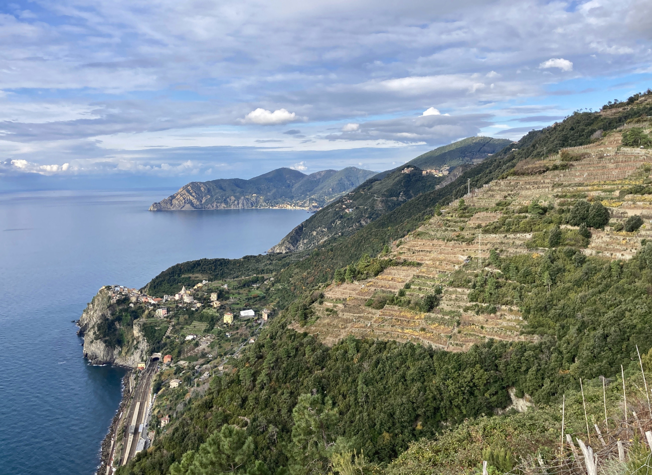 Национальный парк Чинкве-Терре — Зубчатые монорельсовые линии для транспортировки винограда