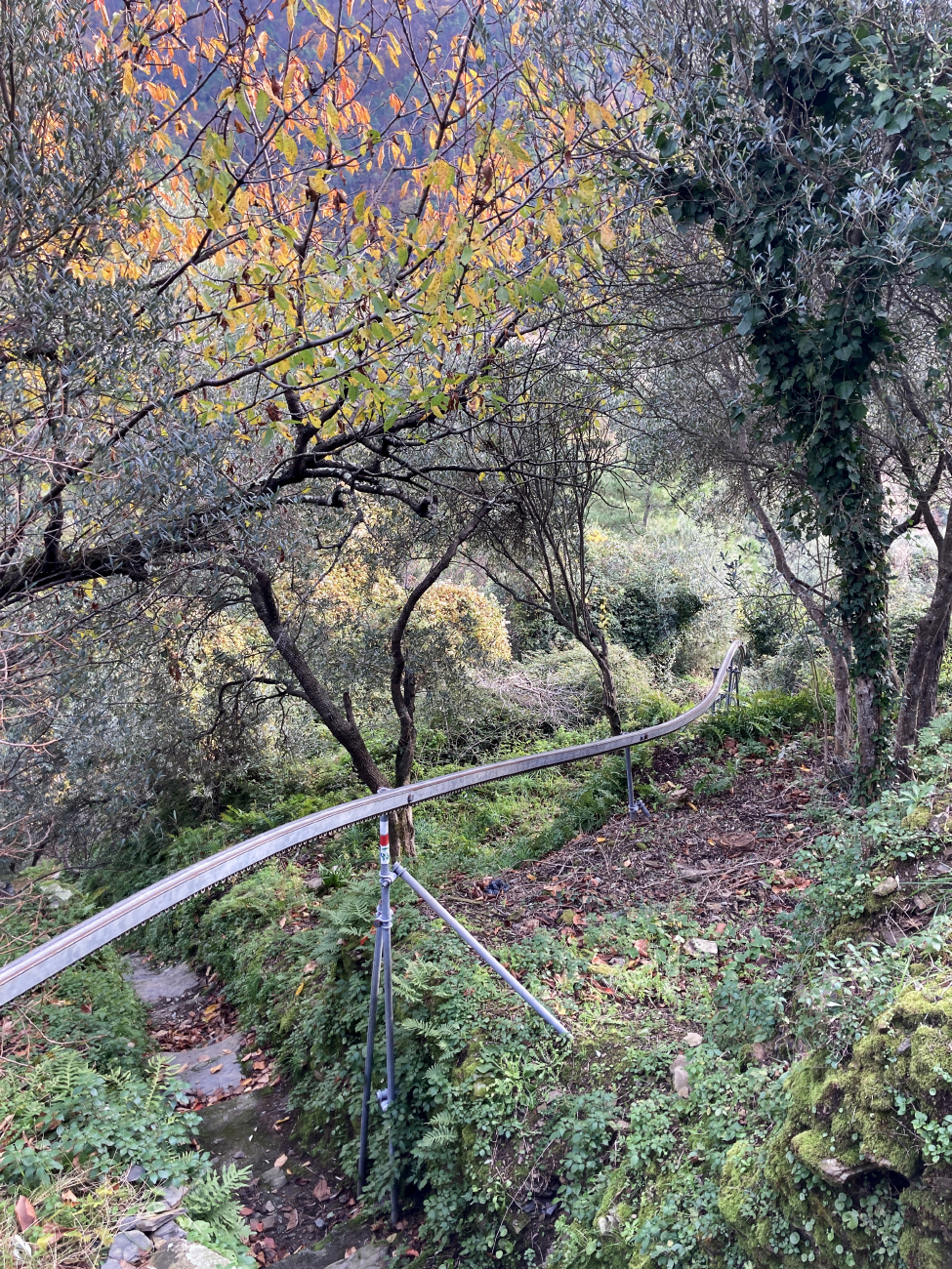 Национальный парк Чинкве-Терре — Зубчатые монорельсовые линии для транспортировки винограда