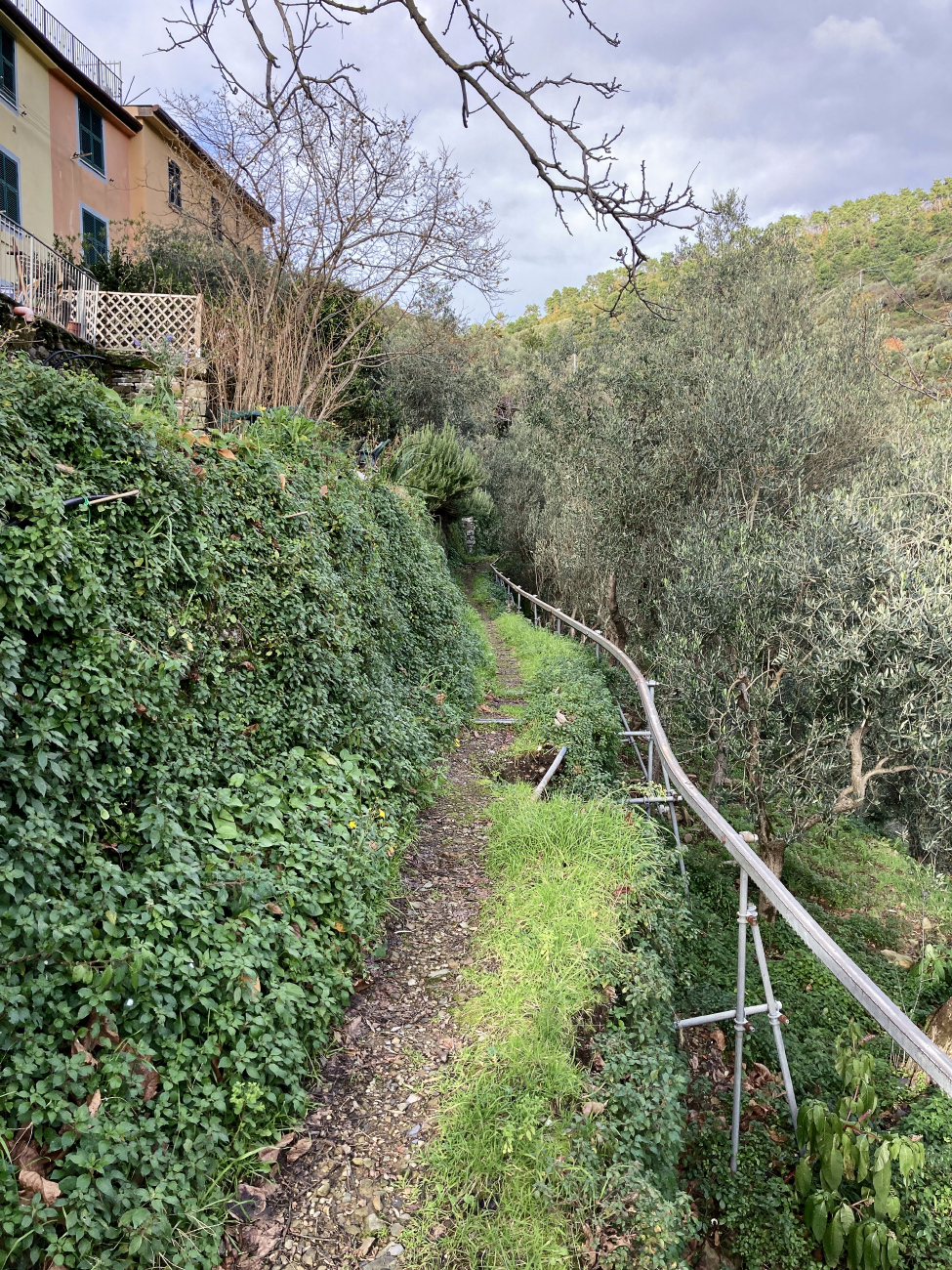 Национальный парк Чинкве-Терре — Зубчатые монорельсовые линии для транспортировки винограда